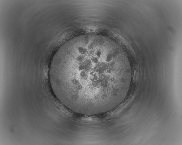 X0000112760561200909031549