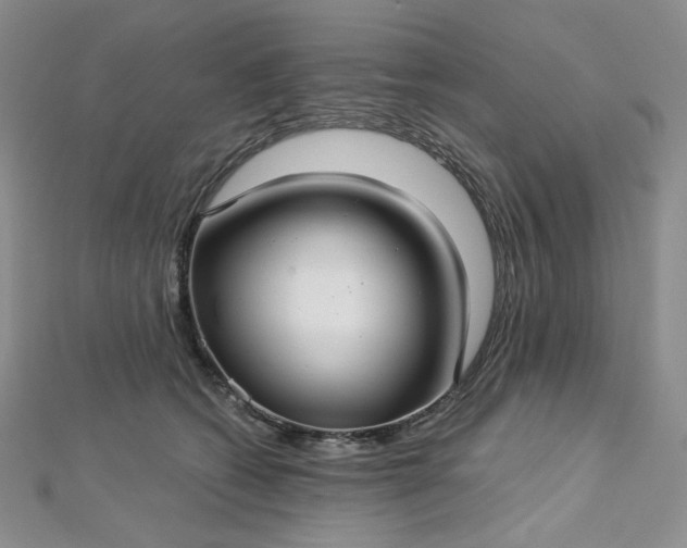 X0000112760562200909031549