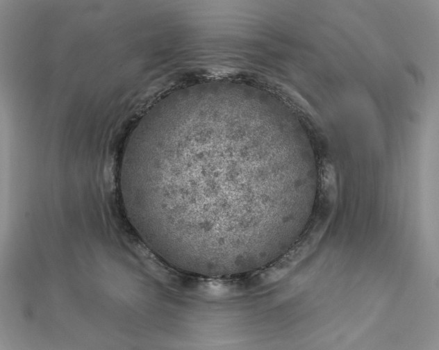 X0000112760565200909031550