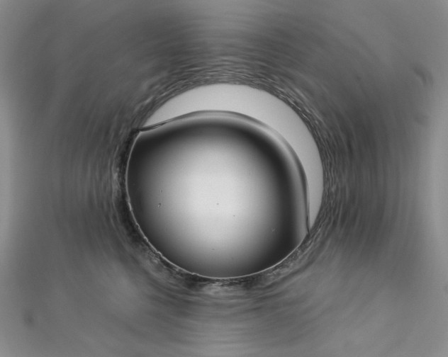 X0000112760568200909031550