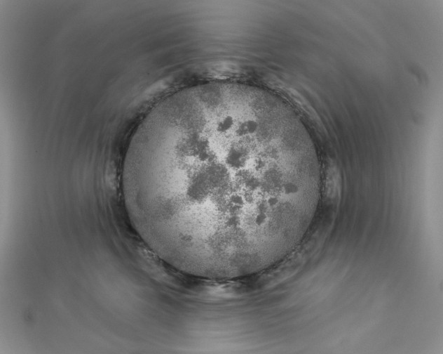 X0000112760569200909031550