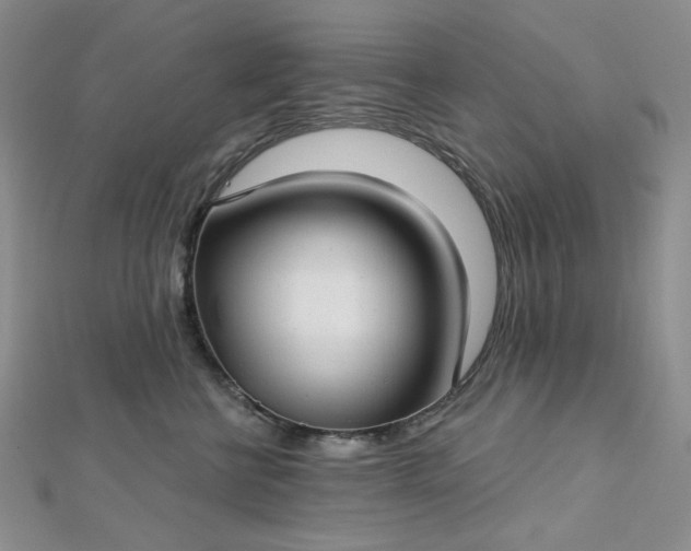 X0000112760570200909031550