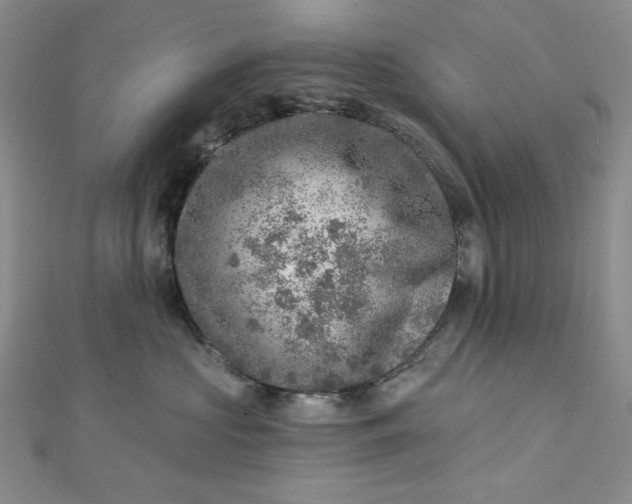 X0000112760573200909031550