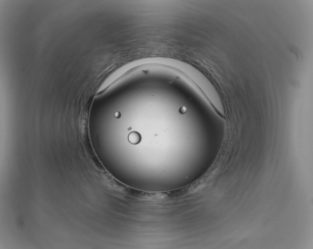 X0000112760576200909031550