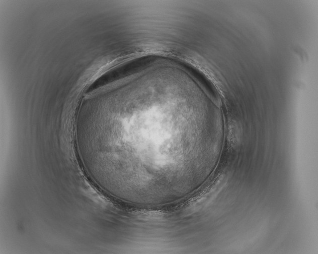 X0000112760577200909031549