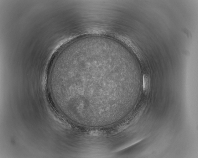 X0000112760579200909031549