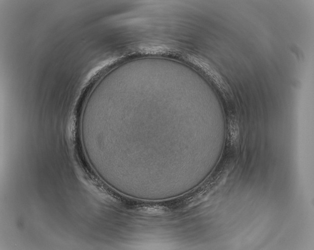 X0000112760583200909031549