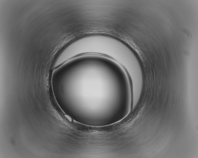 X0000112760585200909031549