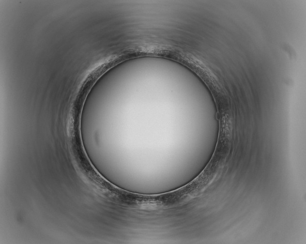 X0000112760587200909031549