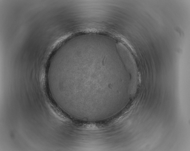 X0000112760588200909031549