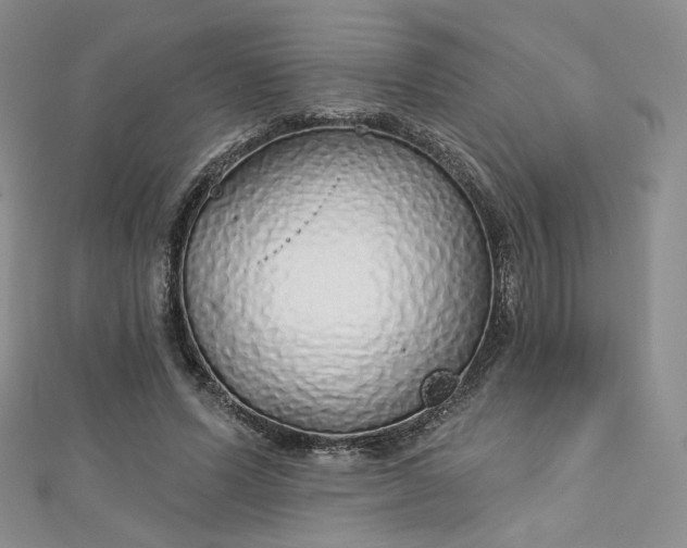 X0000112760591200909031549