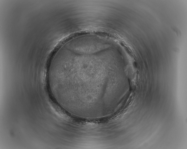X0000112760592200909031549