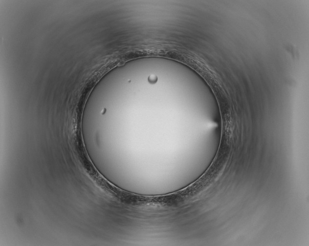 X0000112760593200909031549