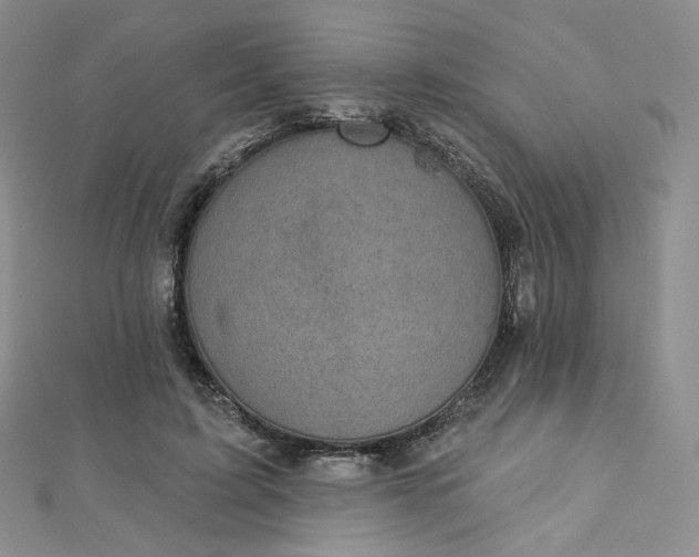 X0000112760595200909031549