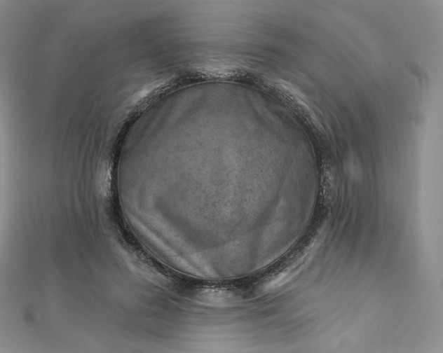 X0000112760596200909031549