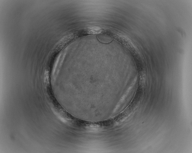 X0000112760598200909031549