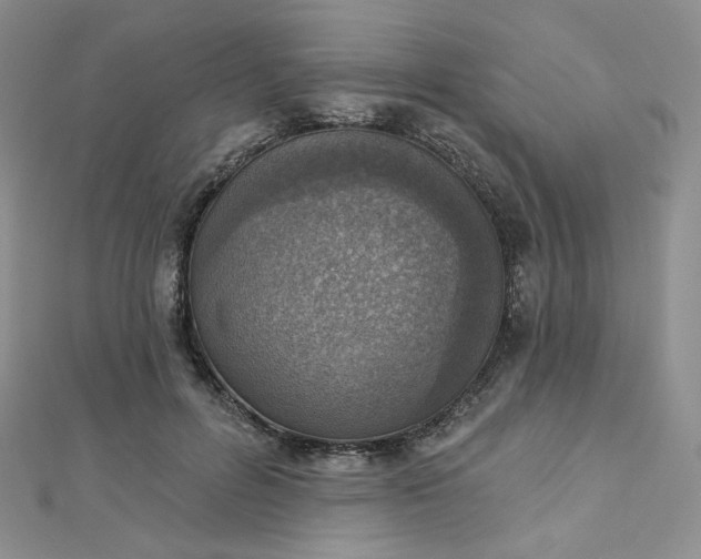 X0000112760600200909031549