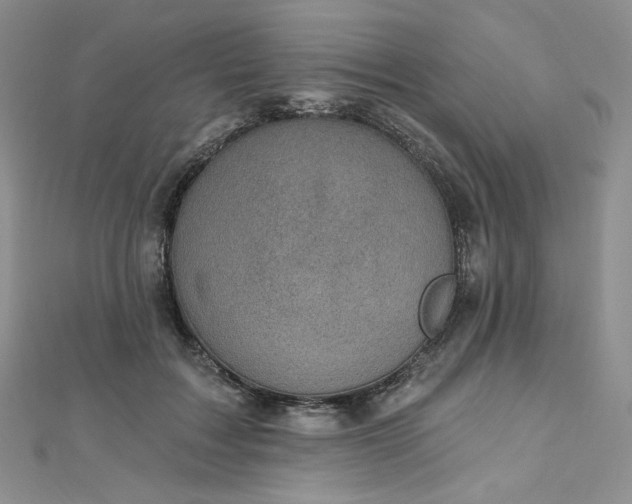 X0000112760603200909031549