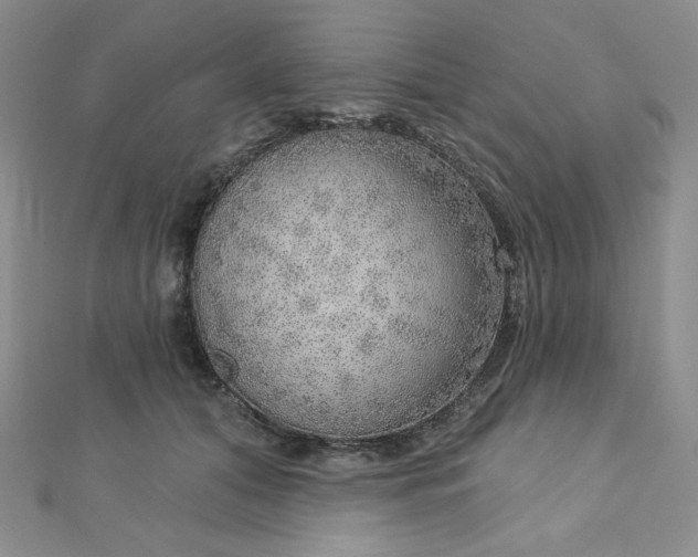 X0000112760608200909031548