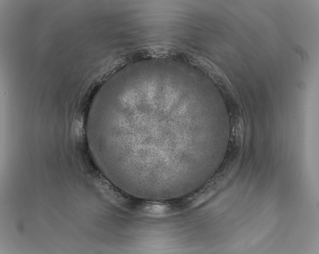 X0000112760610200909031548