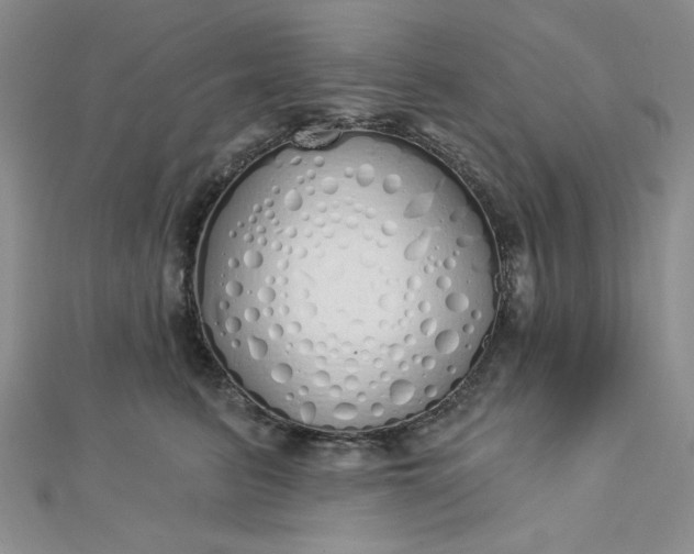 X0000112760615200909031548
