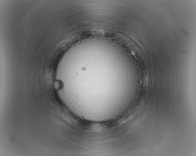 X0000112760616200909031548