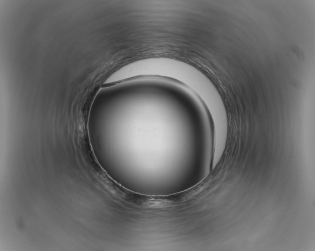 X0000112760617200909031548