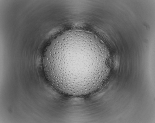 X0000112760619200909031548
