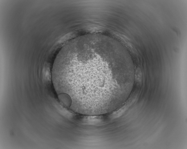 X0000112760622200909031548