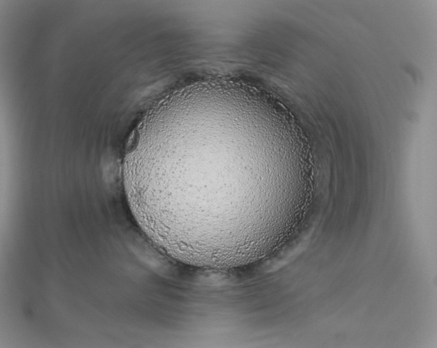 X0000112760624200909031548