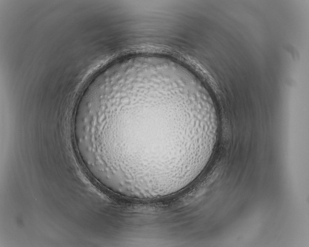 X0000112760625200909031548