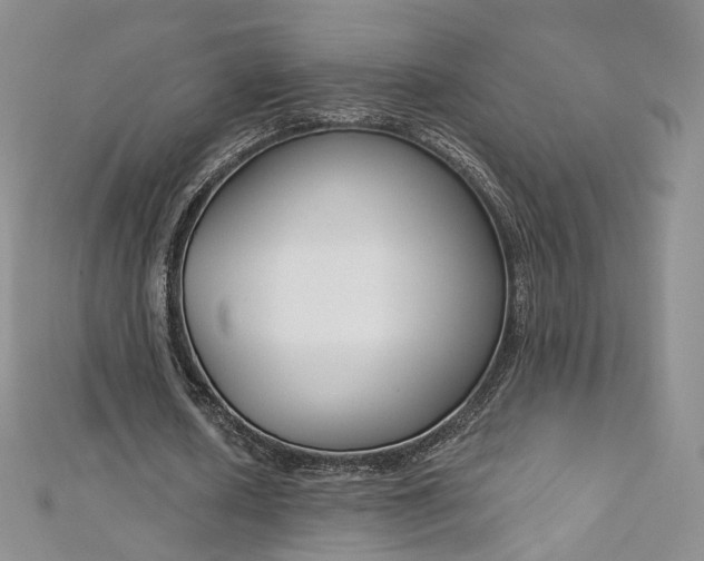 X0000112760626200909031548