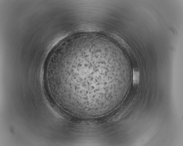 X0000112760627200909031548