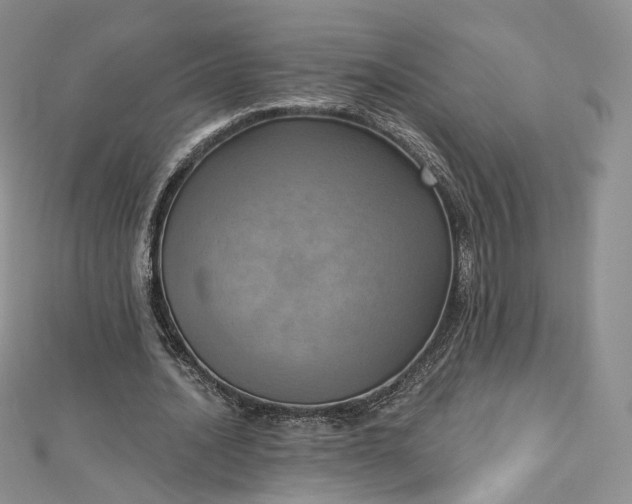 X0000112760628200909031548