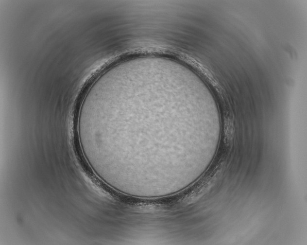 X0000112760629200909031548