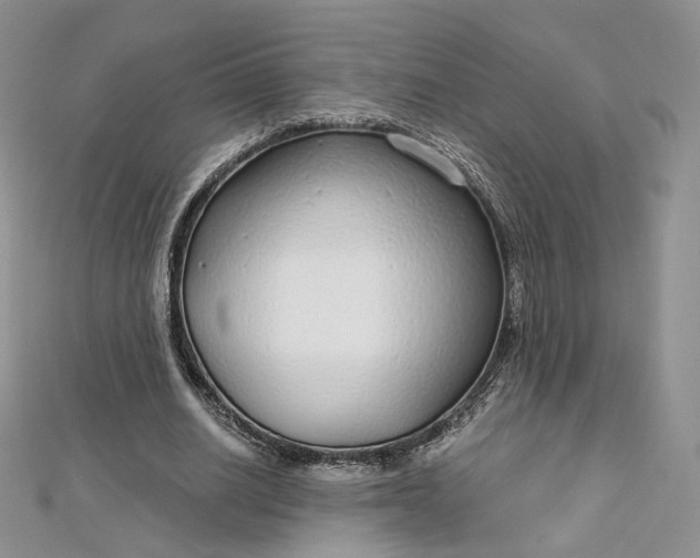 X0000112760630200909031548
