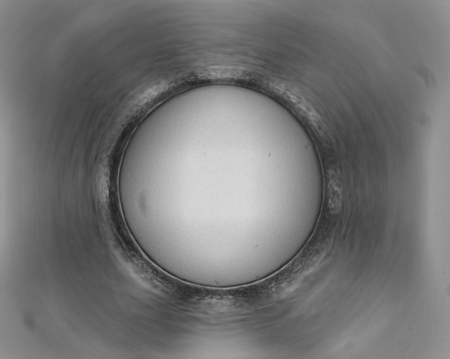 X0000112760631200909031548