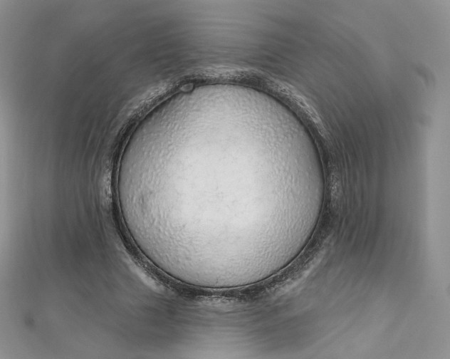 X0000112760633200909031548