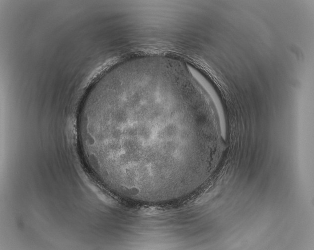 X0000112760634200909031548