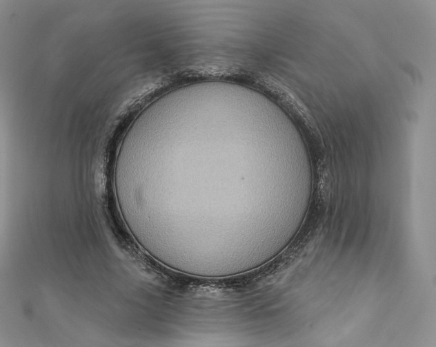 X0000112760635200909031548