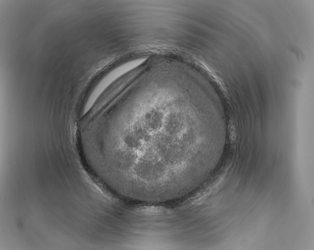 X0000112760637200909031548