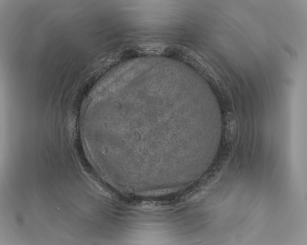 X0000112760641200909031548
