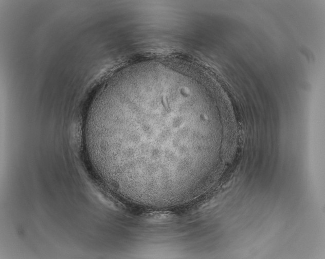 X0000112760642200909031548
