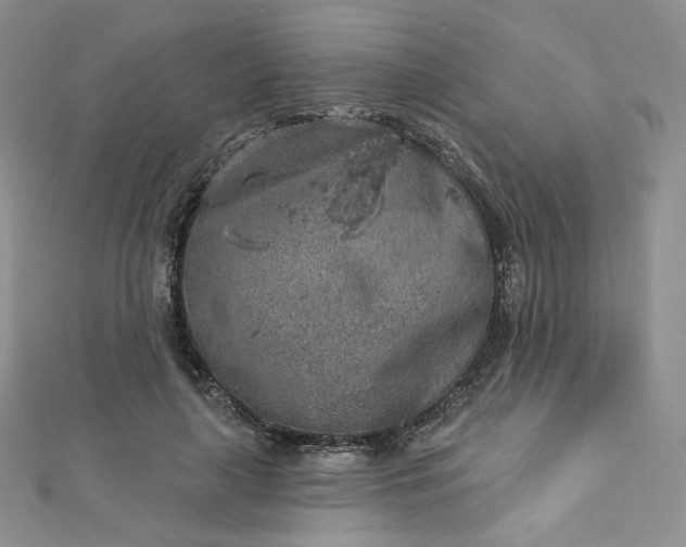 X0000112760643200909031548