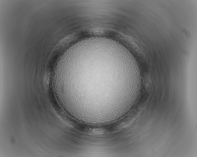 X0000112760645200909031548