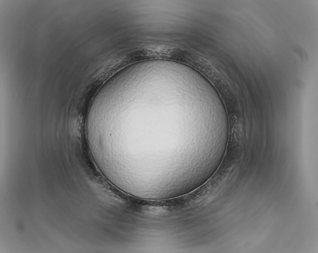 X0000112760649200909031548