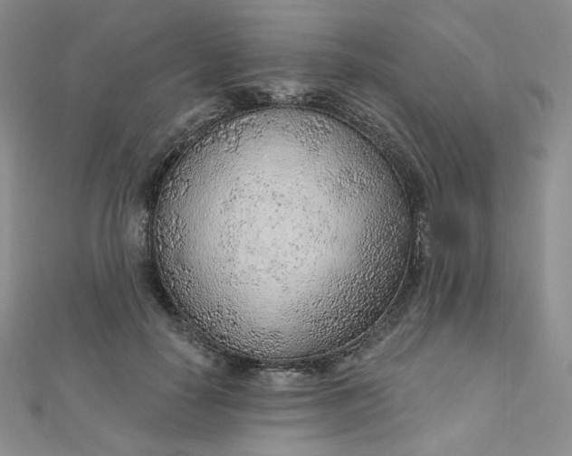 X0000112760650200909031548