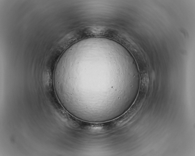 X0000112760651200909031548