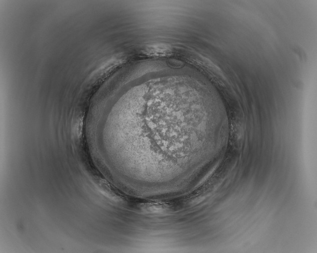 X0000112760652200909031548
