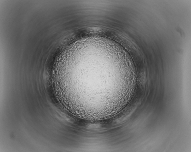 X0000112760653200909031548